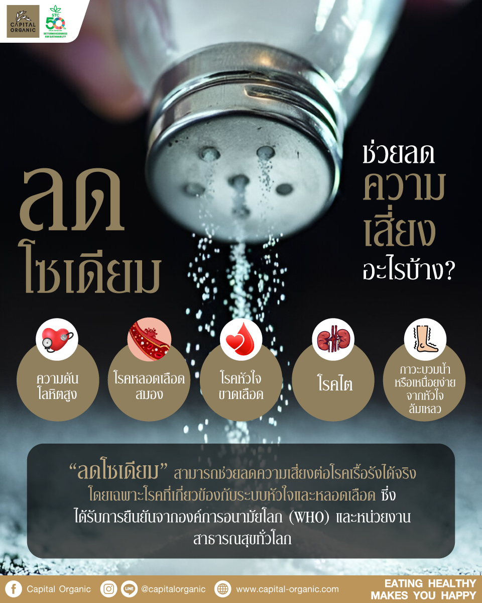 Images/Blog/5m7vVKwT-01.;.jpg