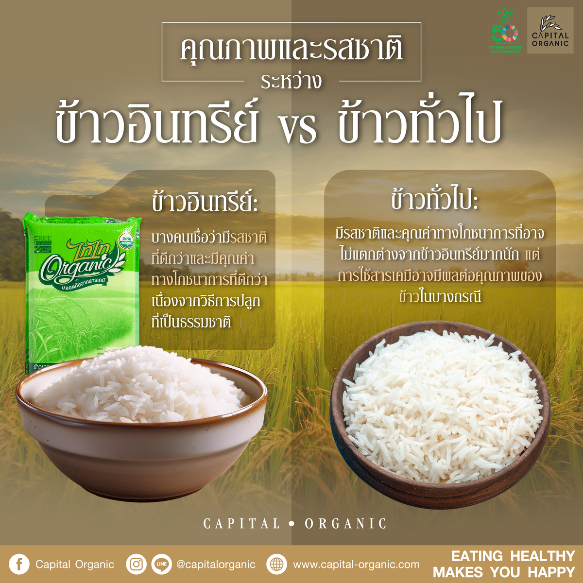 Images/Blog/JDefgGmc-ข้าวอินทรีย์ VS ข้าวทั่วไป (1).jpg