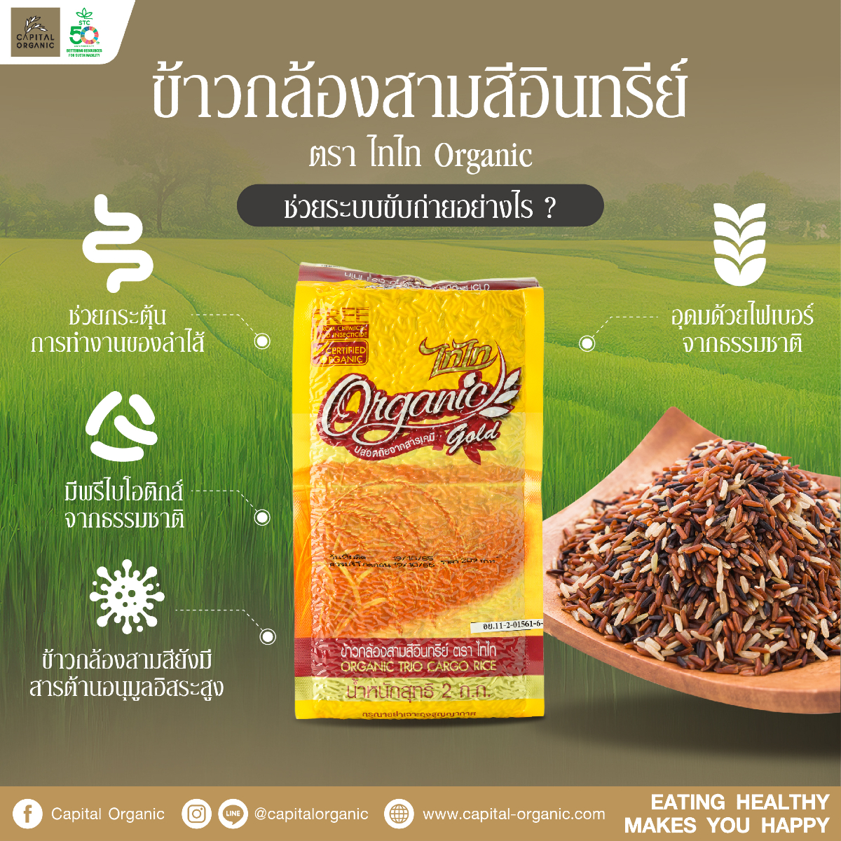 Images/Blog/MgSo3g8n-resizecom_01ส.jpg
