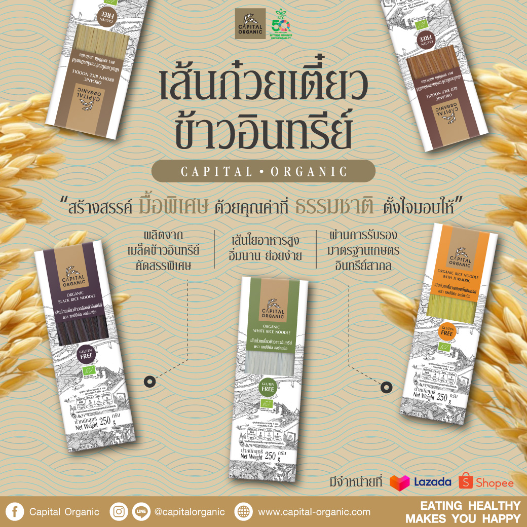 Images/Blog/S4Yj8l5U-เส้น7.jpg