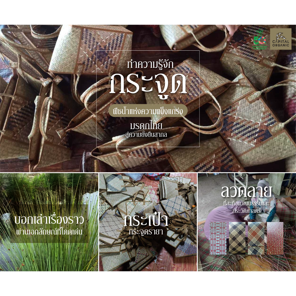 Images/Blog/YmHMJ5oi-resizecom_ตัวอย่าง1 (2).png
