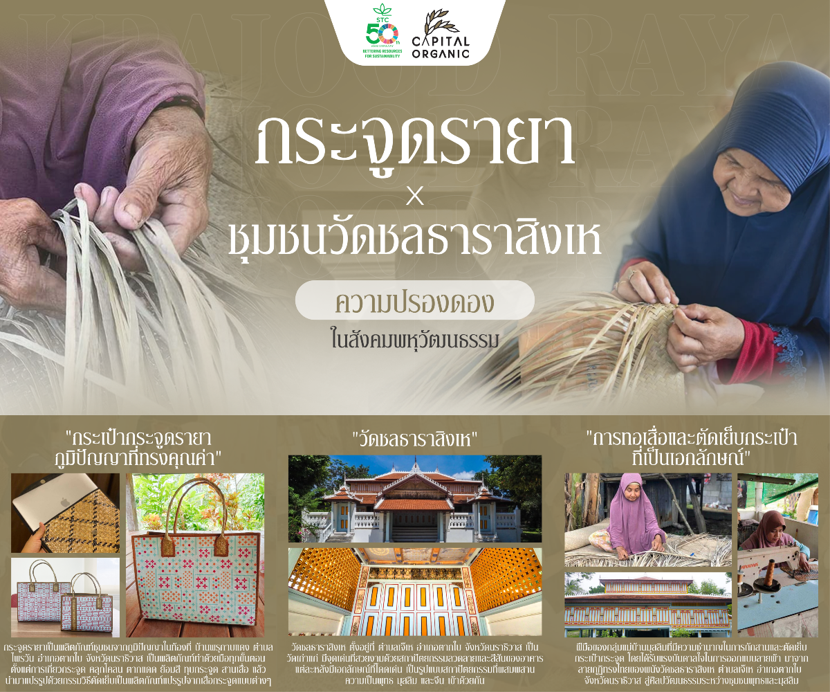 Images/Blog/b7z7crLi-resizecom_ตัวอย่าง ไอซ์ลงเว็บ.png