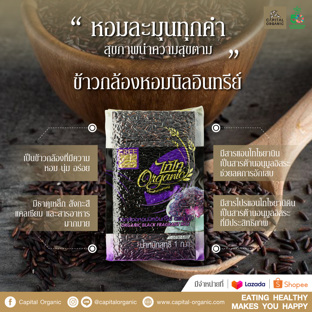 Images/Blog/hfB3ZXhE-01กล้องหอมนิล.jpg