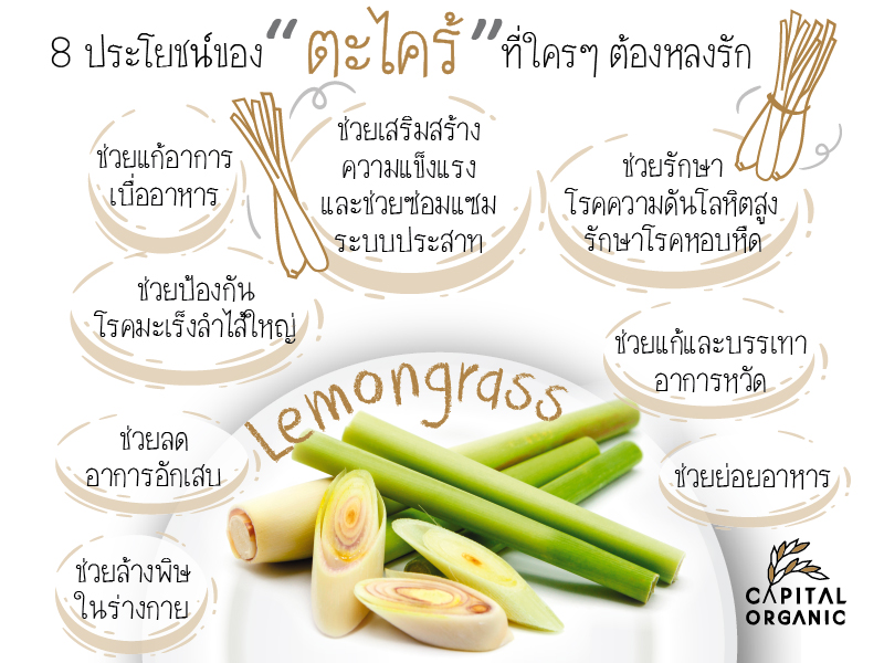 Images/Blog/ncanxDcq-AW-Post13 Lemongrass_800x600pixel-01.jpg