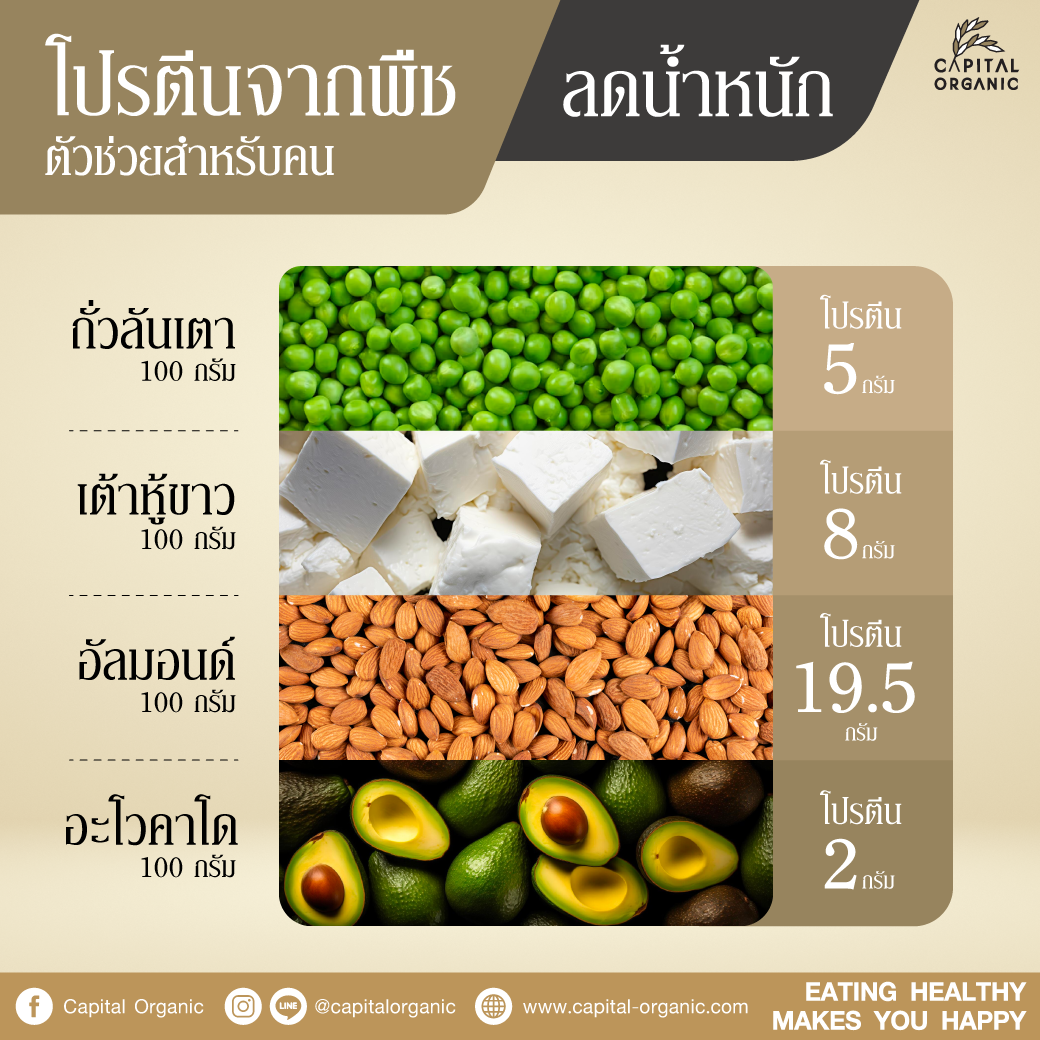 Images/Blog/vmgMtfOb-โปรตีน.png